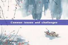 Common issues and challenges