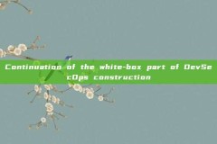 Continuation of the white-box part of DevSecOps construction