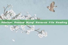 Adminer Remote Mysql Reverse File Reading
