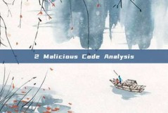 2 Malicious Code Analysis