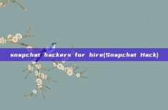 snapchat <strong>hacker</strong>s for hire(Snapchat Hack)