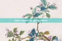 Data security governance