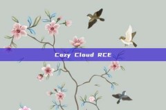 Cozy Cloud RCE