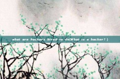 what are <strong>hacker</strong>s hired to do(What is a <strong>hacker</strong>?)