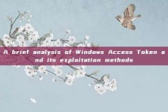 A brief analysis of Windows Access Token and its exploitation methods