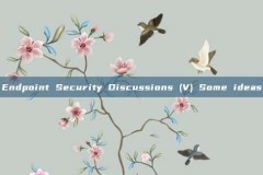 Endpoint Security Discussions (V) Some ideas