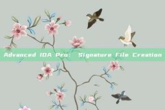 Advanced IDA Pro: Signature File Creation