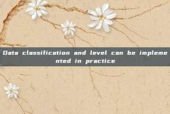 Data classification and level can be implemented in practice
