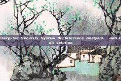 Enterprise Security System Architecture Analysis: Anti-DDoS solution