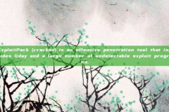 ExploitPack (cracked) is an offensive penetration tool that includes 0day and a large number of undetectable exploit programs.