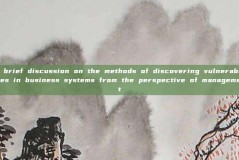 A brief discussion on the methods of discovering vulnerabilities in business systems from the perspective of management