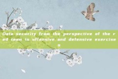 Data security from the perspective of the red team in offensive and defensive exercises