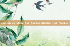 who hires white-hat <strong>hacker</strong>s(White Hat <strong>hacker</strong>)