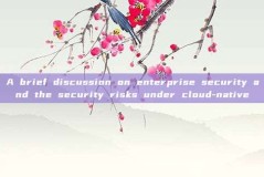 A brief discussion on enterprise security and the security risks under cloud-native