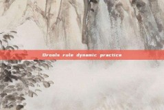 Drools rule dynamic practice