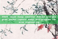 2025 latest & emulator WeChat mini-program packet capture & mini-program reverse engineering