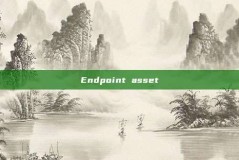 Endpoint asset