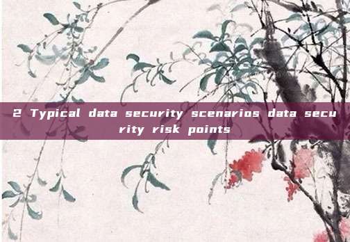 2 Typical data security scenarios data security risk points
