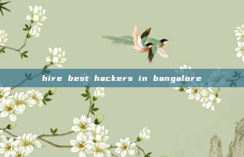hire best hackers in bangalore
