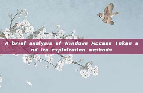A brief analysis of Windows Access Token and its exploitation methods