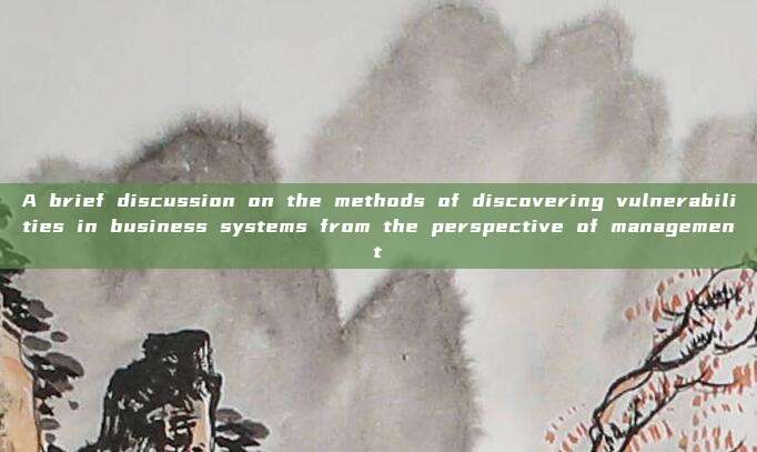 A brief discussion on the methods of discovering vulnerabilities in business systems from the perspective of management