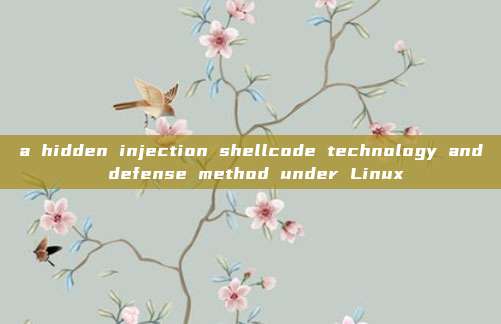 a hidden injection shellcode technology and defense method under Linux