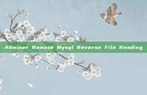 Adminer Remote Mysql Reverse File Reading