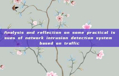Analysis and reflection on some practical issues of network intrusion detection system based on traffic