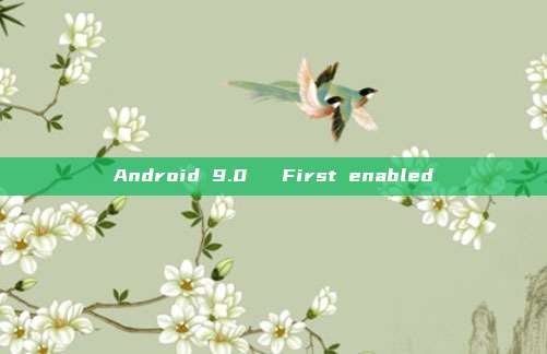 Android 9.0 → First enabled