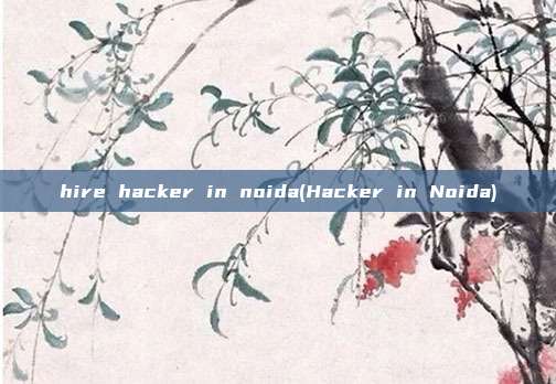 hire hacker in noida(Hacker in Noida)