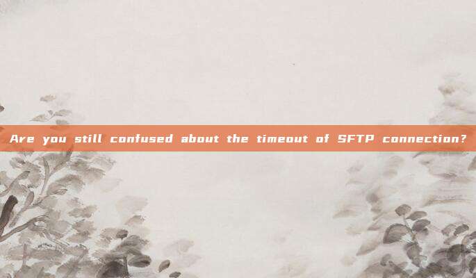 Are you still confused about the timeout of SFTP connection?