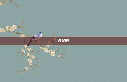 ASM