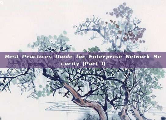 Best Practices Guide for Enterprise Network Security (Part 1)