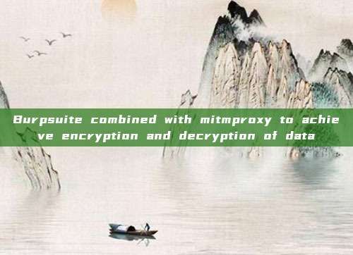 Burpsuite combined with mitmproxy to achieve encryption and decryption of data