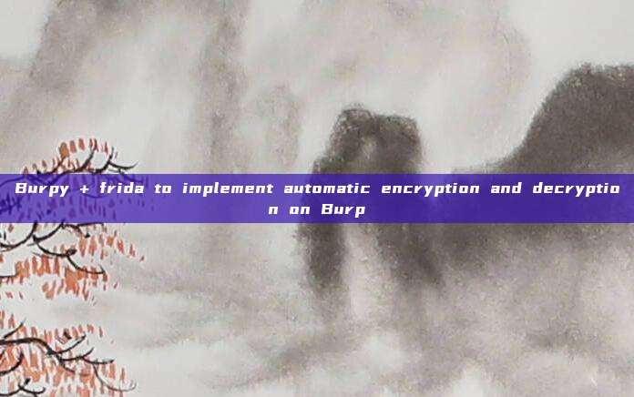 Burpy + frida to implement automatic encryption and decryption on Burp