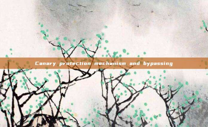 Canary protection mechanism and bypassing