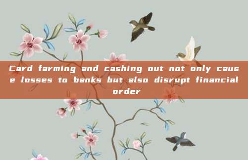 Card farming and cashing out not only cause losses to banks but also disrupt financial order