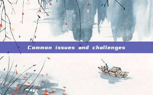 Common issues and challenges