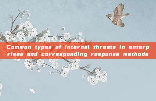 Common types of internal threats in enterprises and corresponding response methods