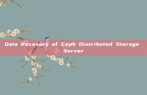 Data Recovery of Ceph Distributed Storage Server