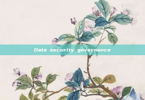 Data security governance