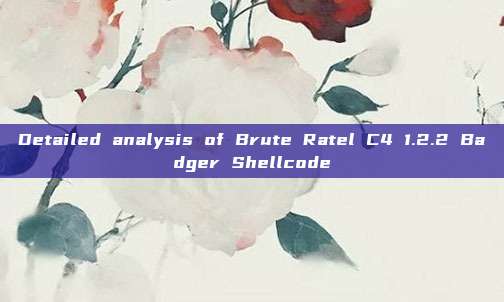 Detailed analysis of Brute Ratel C4 1.2.2 Badger Shellcode