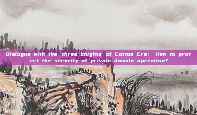 Dialogue with the 'three knights' of Cotton Era： How to protect the security of private domain operation？