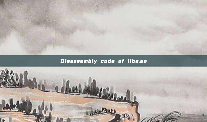 Disassembly code of liba.so