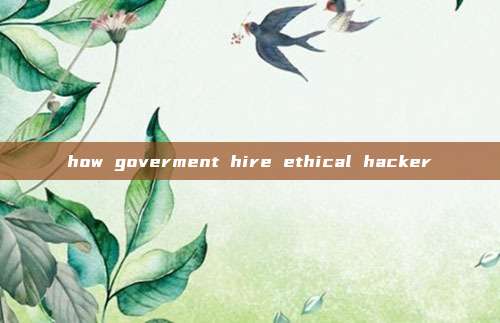 how goverment hire ethical hacker