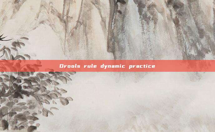 Drools rule dynamic practice
