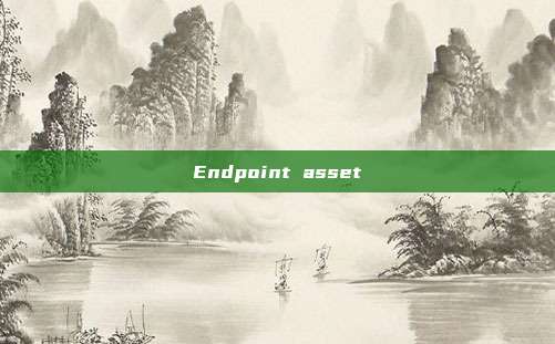 Endpoint asset