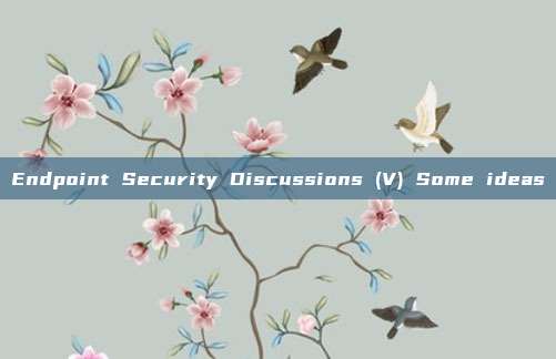 Endpoint Security Discussions (V) Some ideas