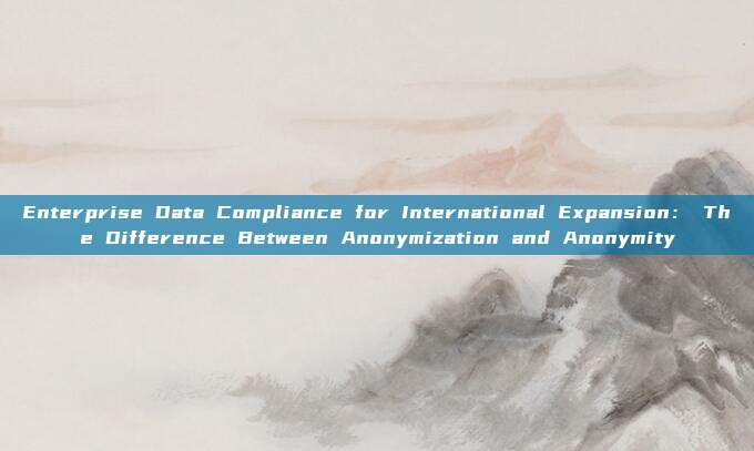Enterprise Data Compliance for International Expansion: The Difference Between Anonymization and Anonymity