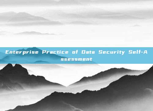 Enterprise Practice of Data Security Self-Assessment